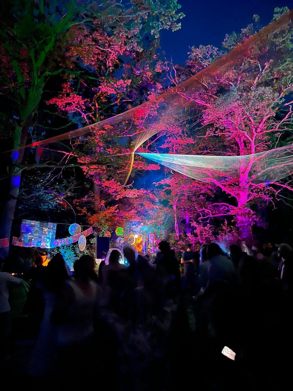 Rave party at night, trees lit up in purple and other colours